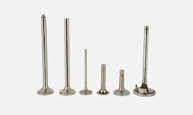 Engine Valves